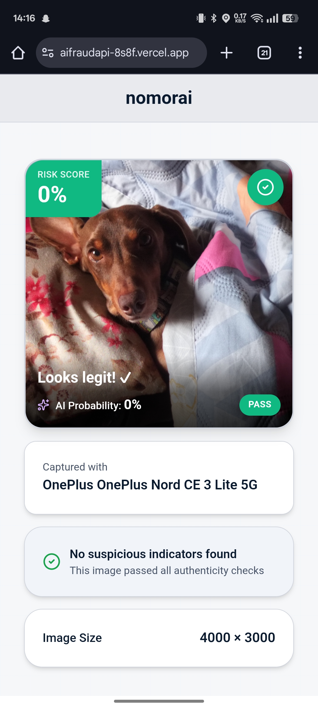 Screenshot 2 of NomorAI