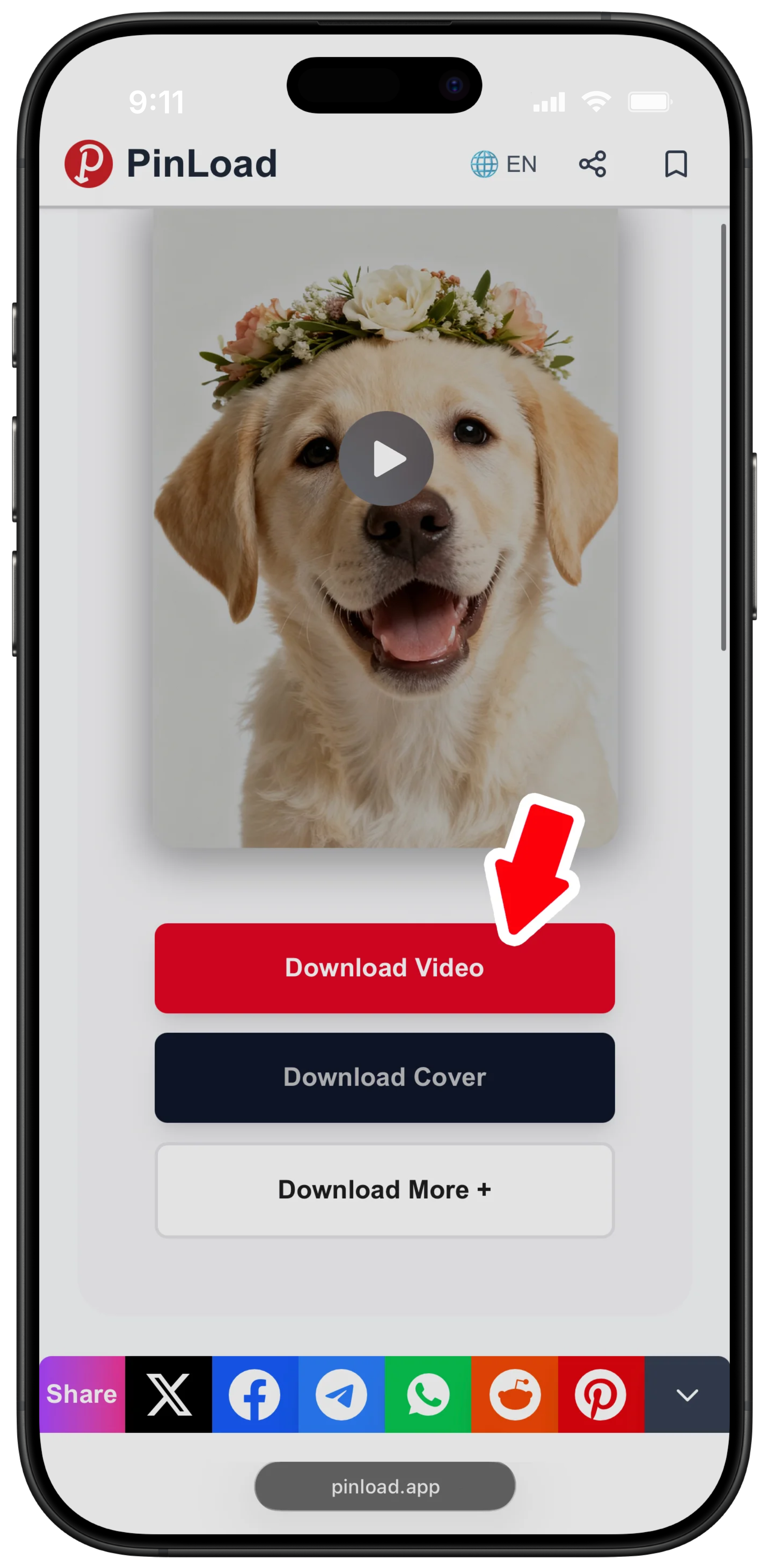 Screenshot 6 of PinLoad - Pinterest Video Downloader