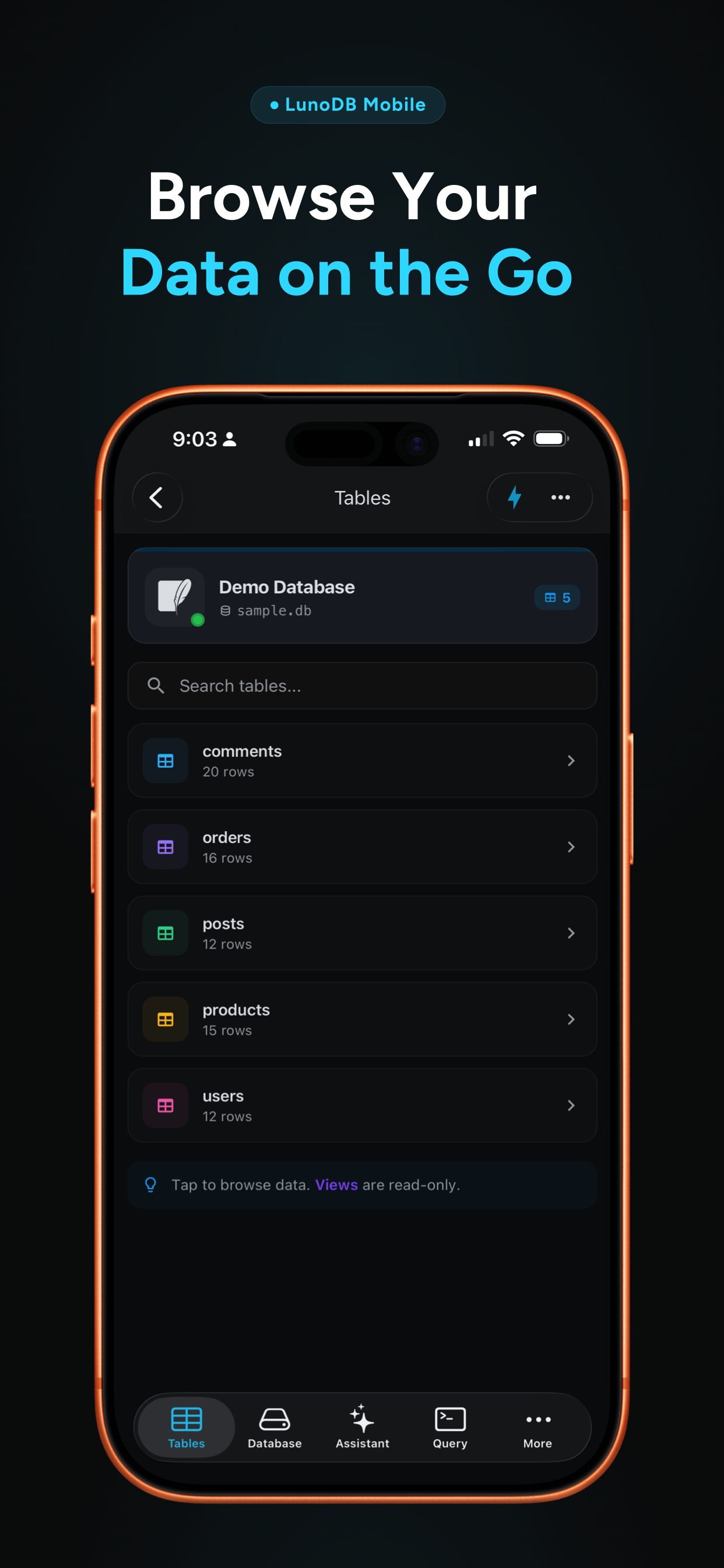 Screenshot 2 of LunoDB Mobile