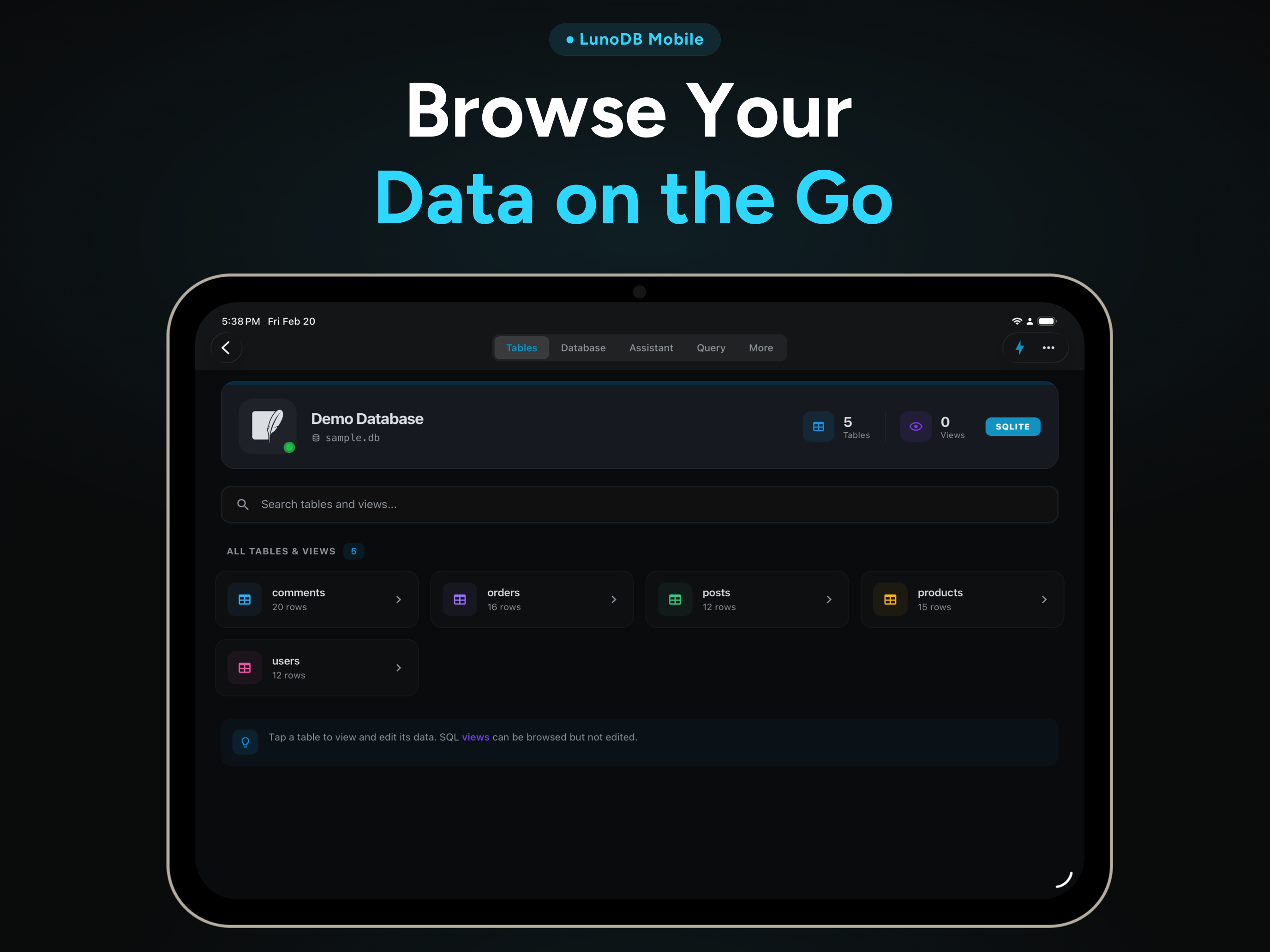 Screenshot 5 of LunoDB Mobile