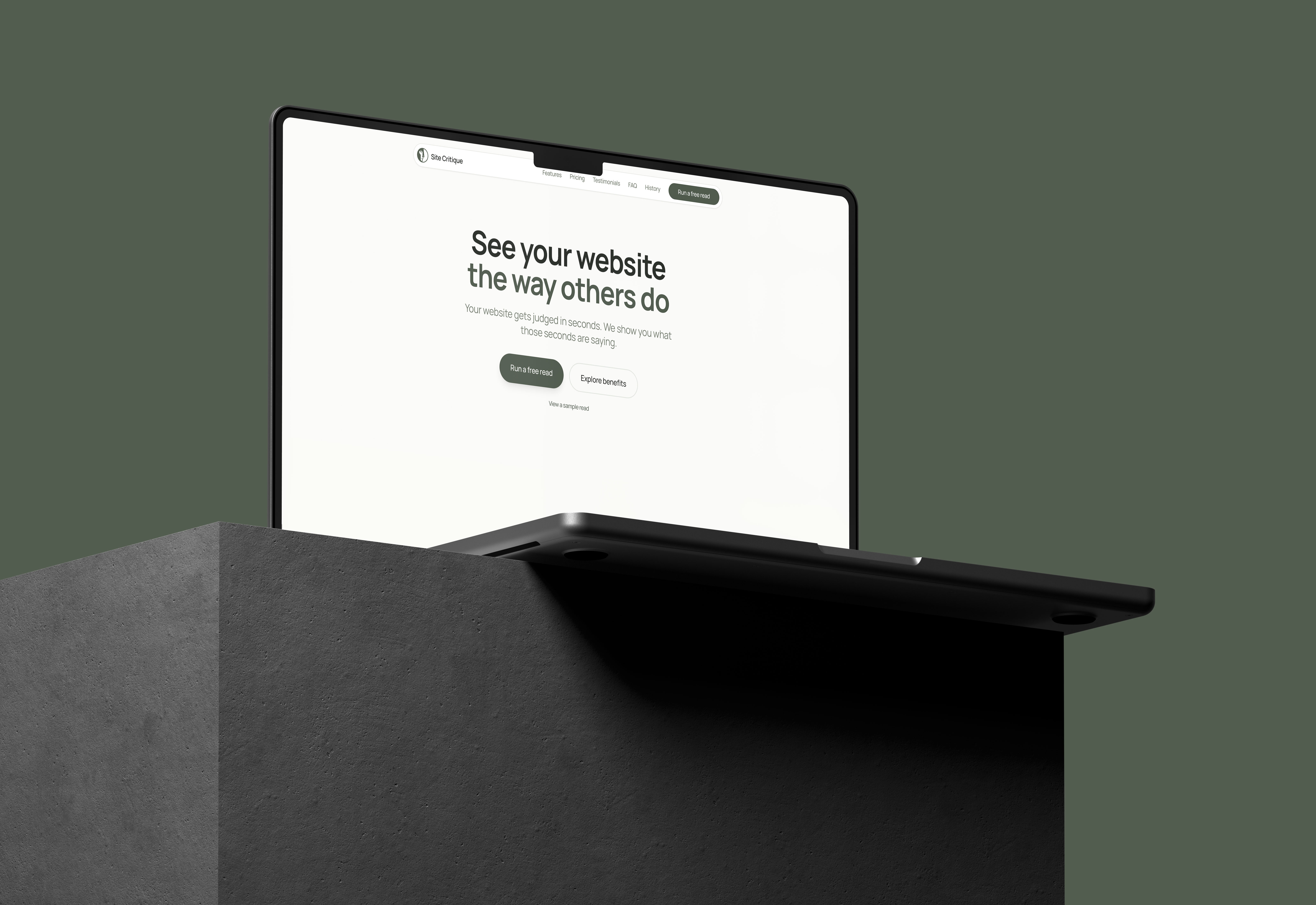 Screenshot 1 of Site Critique