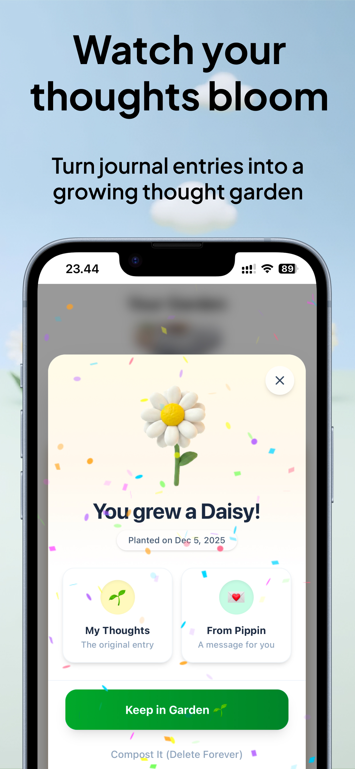 Screenshot 5 of Pippin – Overthinking Journal