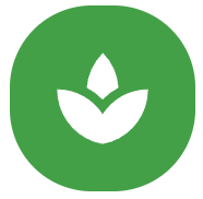 Sprout