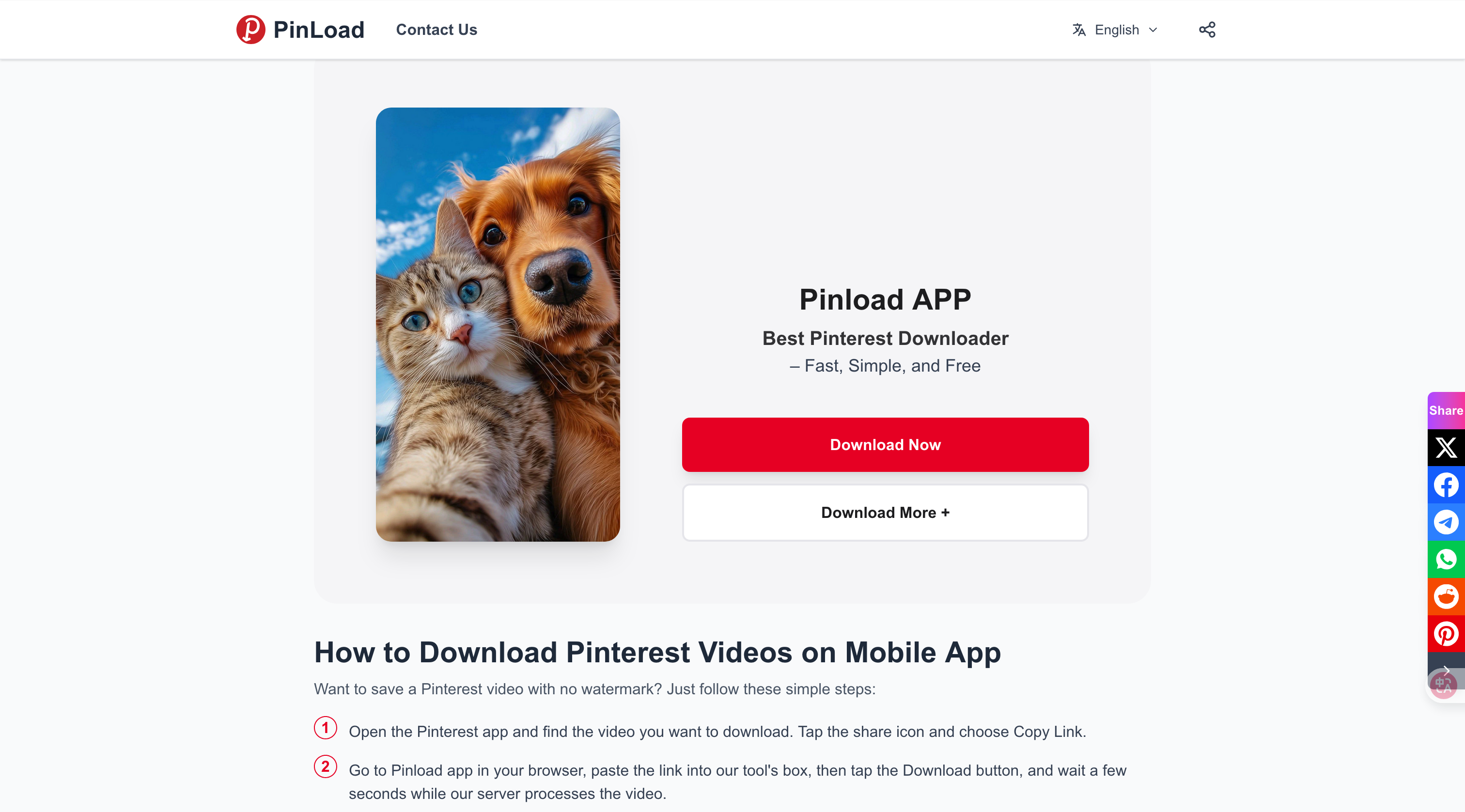 Screenshot 2 of PinLoad - Pinterest Video Downloader