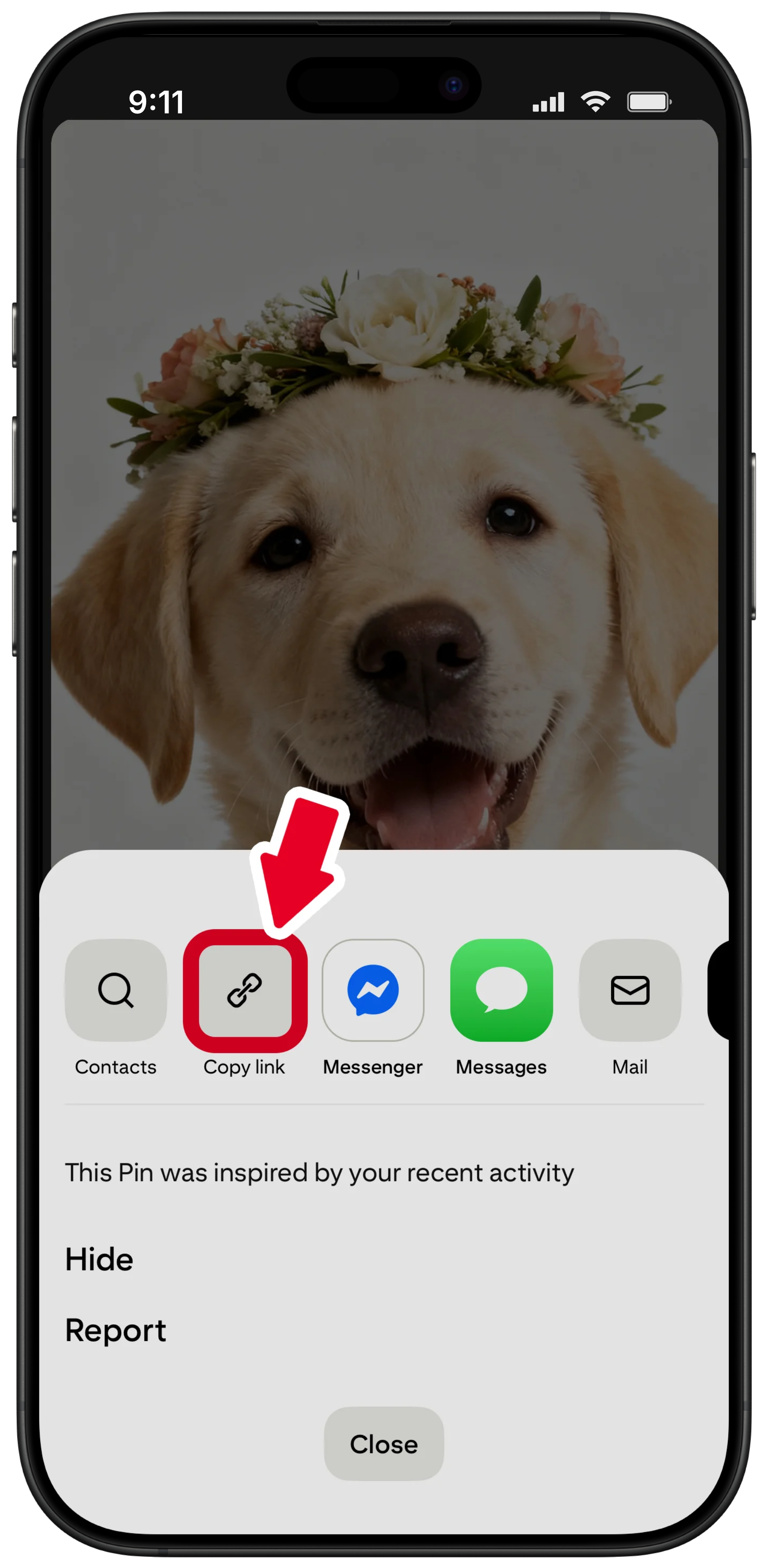 Screenshot 4 of PinLoad - Pinterest Video Downloader