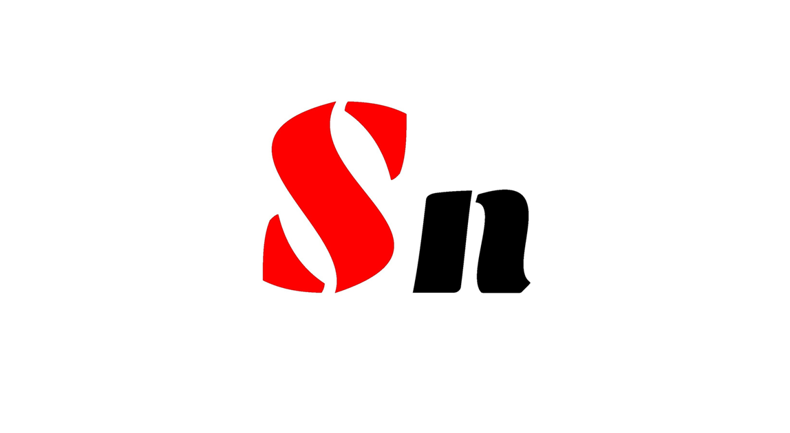 Screenshot 1 of Serpmonn