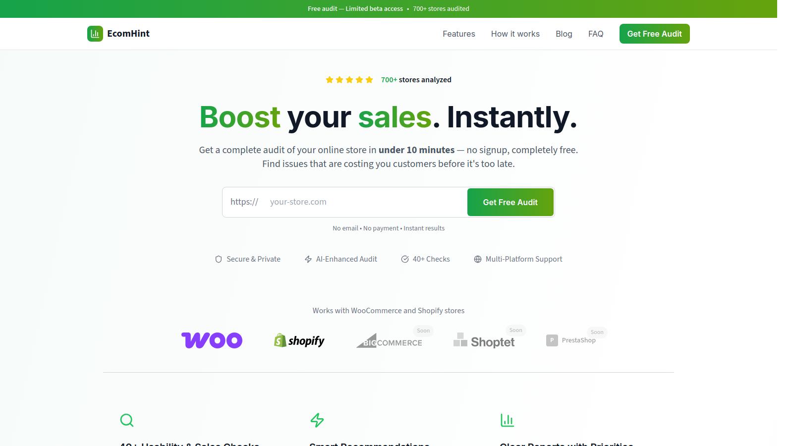 Screenshot 1 of E-Commerce Store Audit