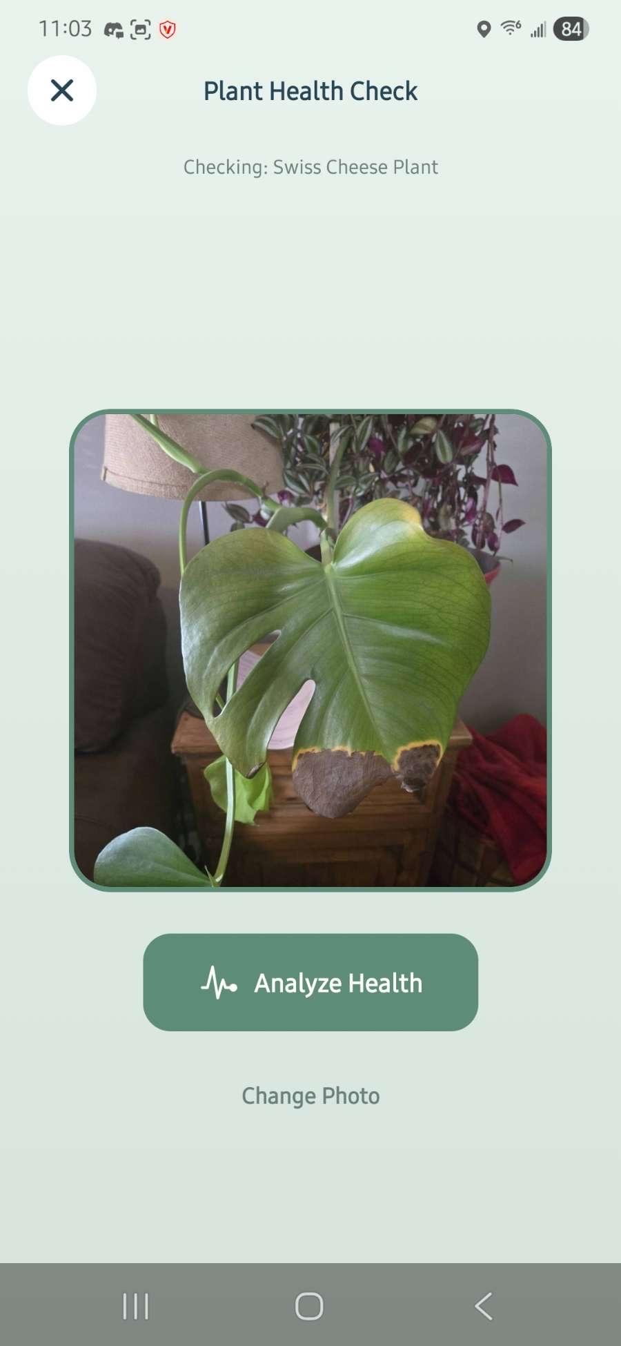 Screenshot 3 of Plant parent