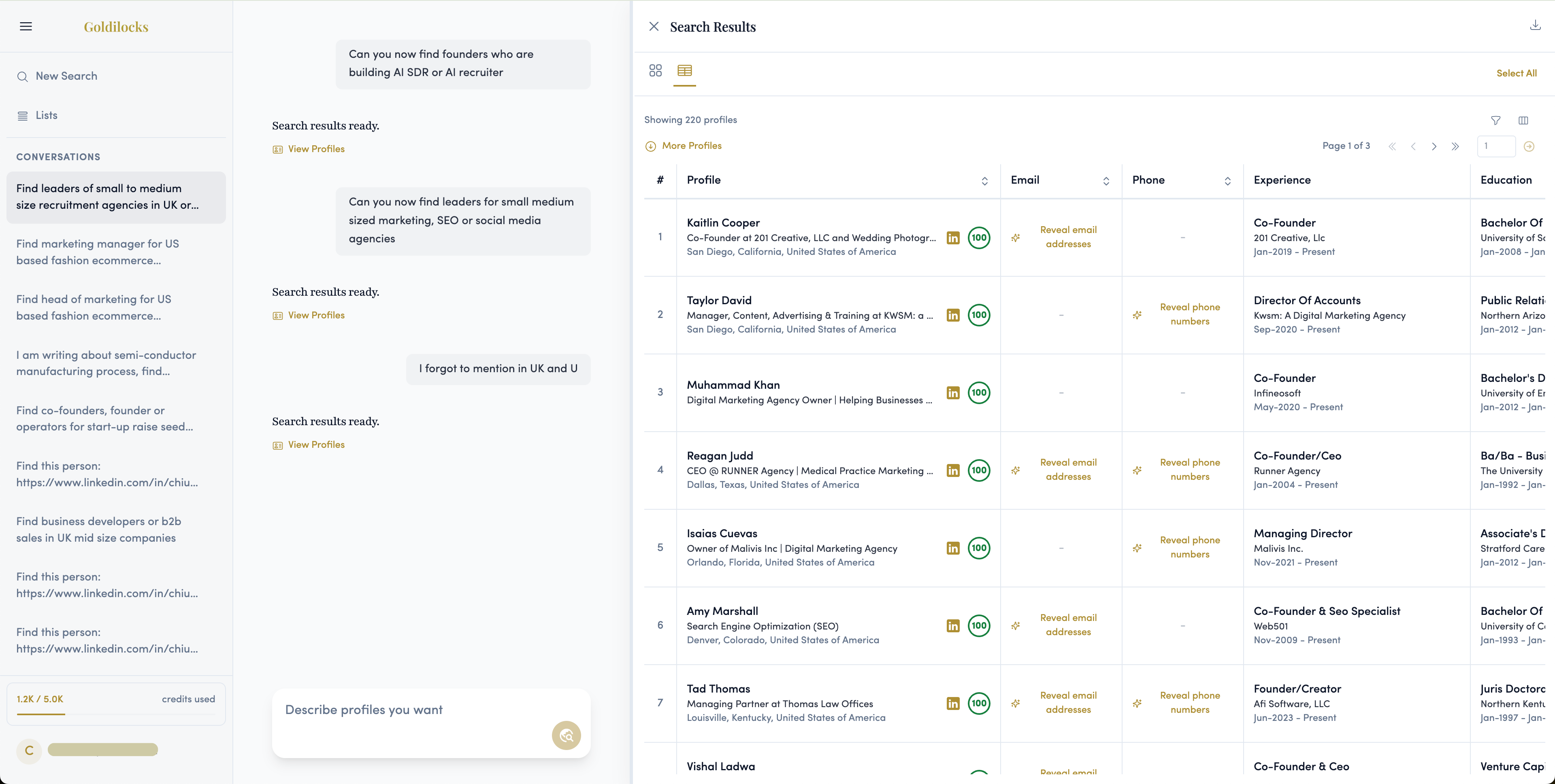 Screenshot 4 of Goldilocks People Search Platform