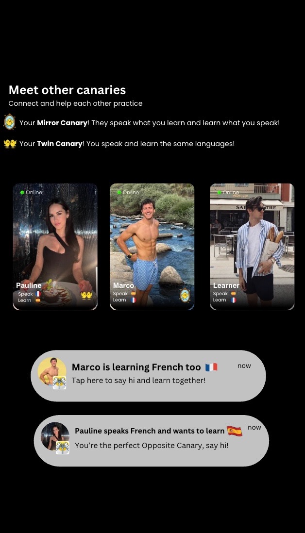 Screenshot 2 of Canary