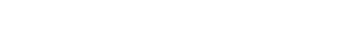 WaveSpeedAI