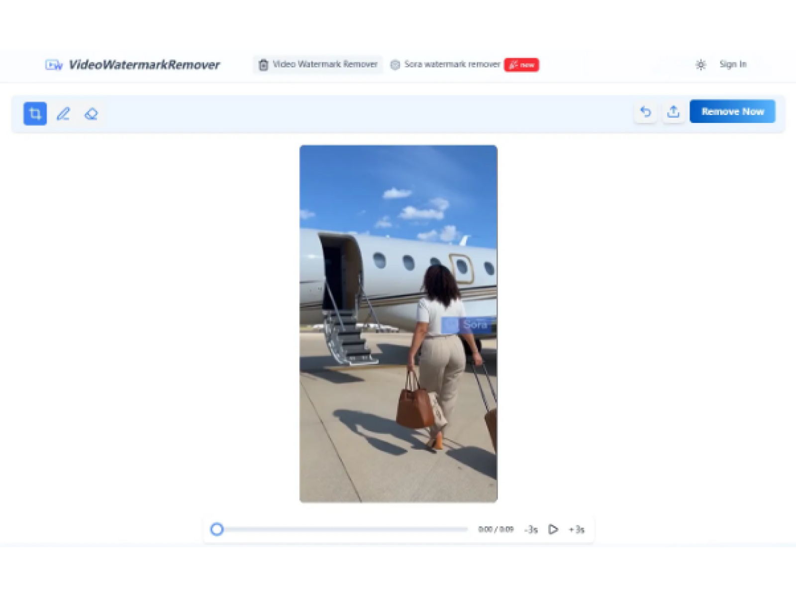 Screenshot 2 of Video Watermark Remover