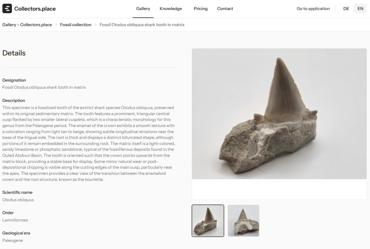 Screenshot 7 of Collectors.place