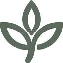 Yogarium