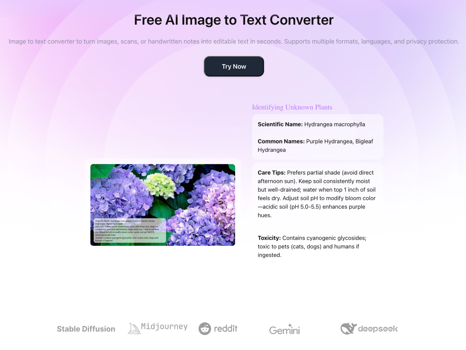 Screenshot 1 of AI Image to Text