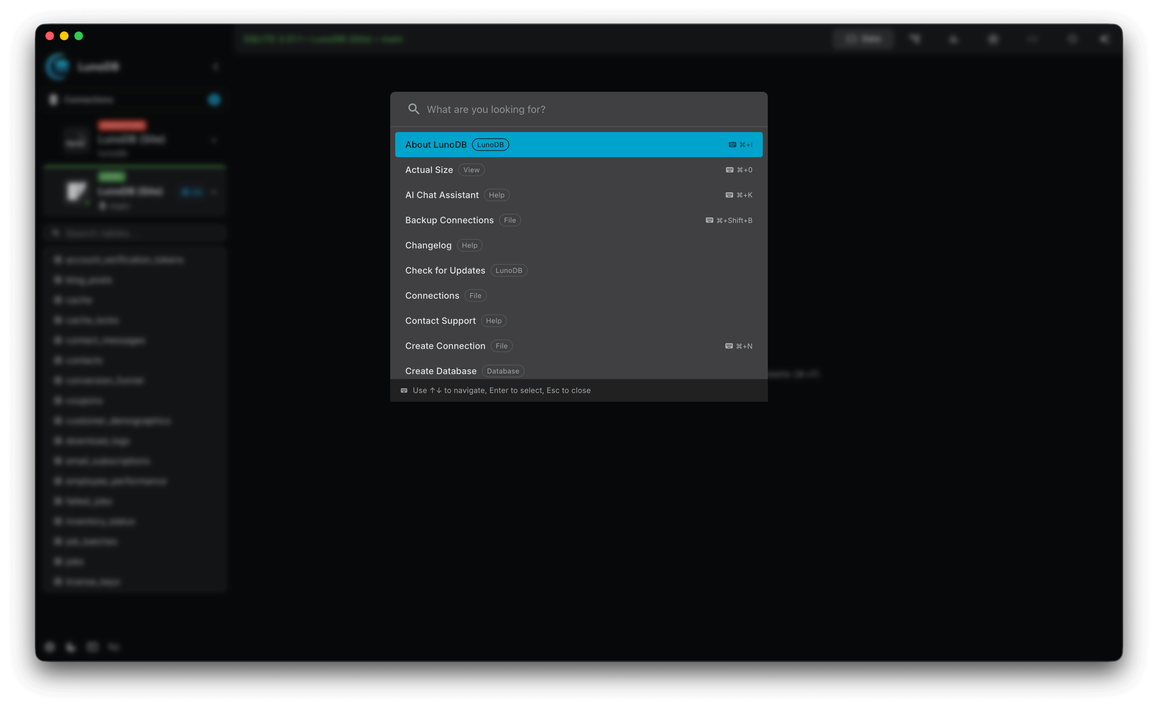 Screenshot 8 of LunoDB - Modern Database Software