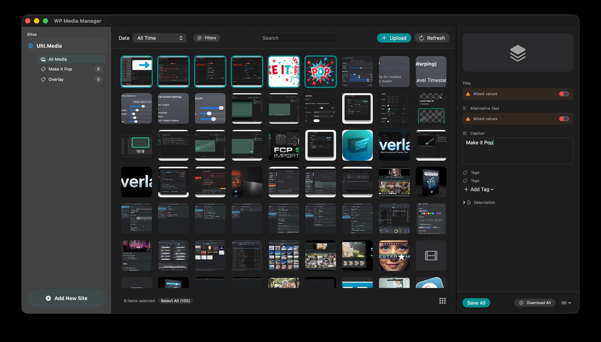 Screenshot 2 of WP Media Manager
