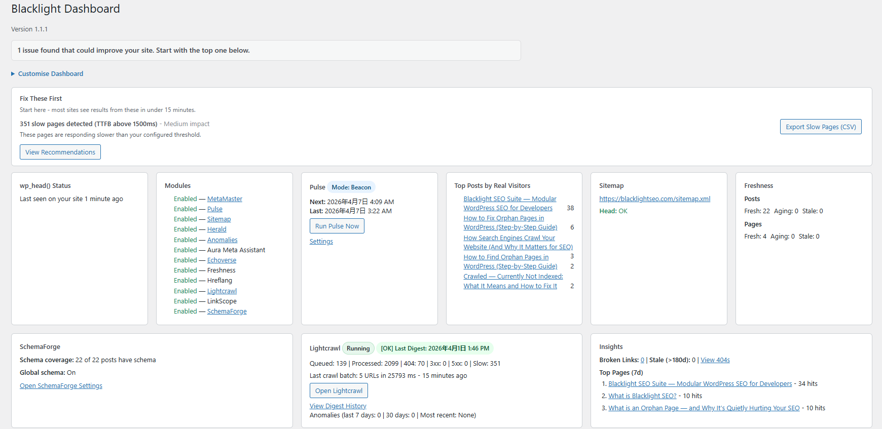 Screenshot 2 of Blacklight SEO Suite