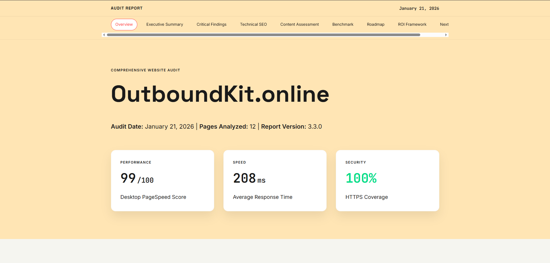 Screenshot 2 of Website Audits + Roadmap