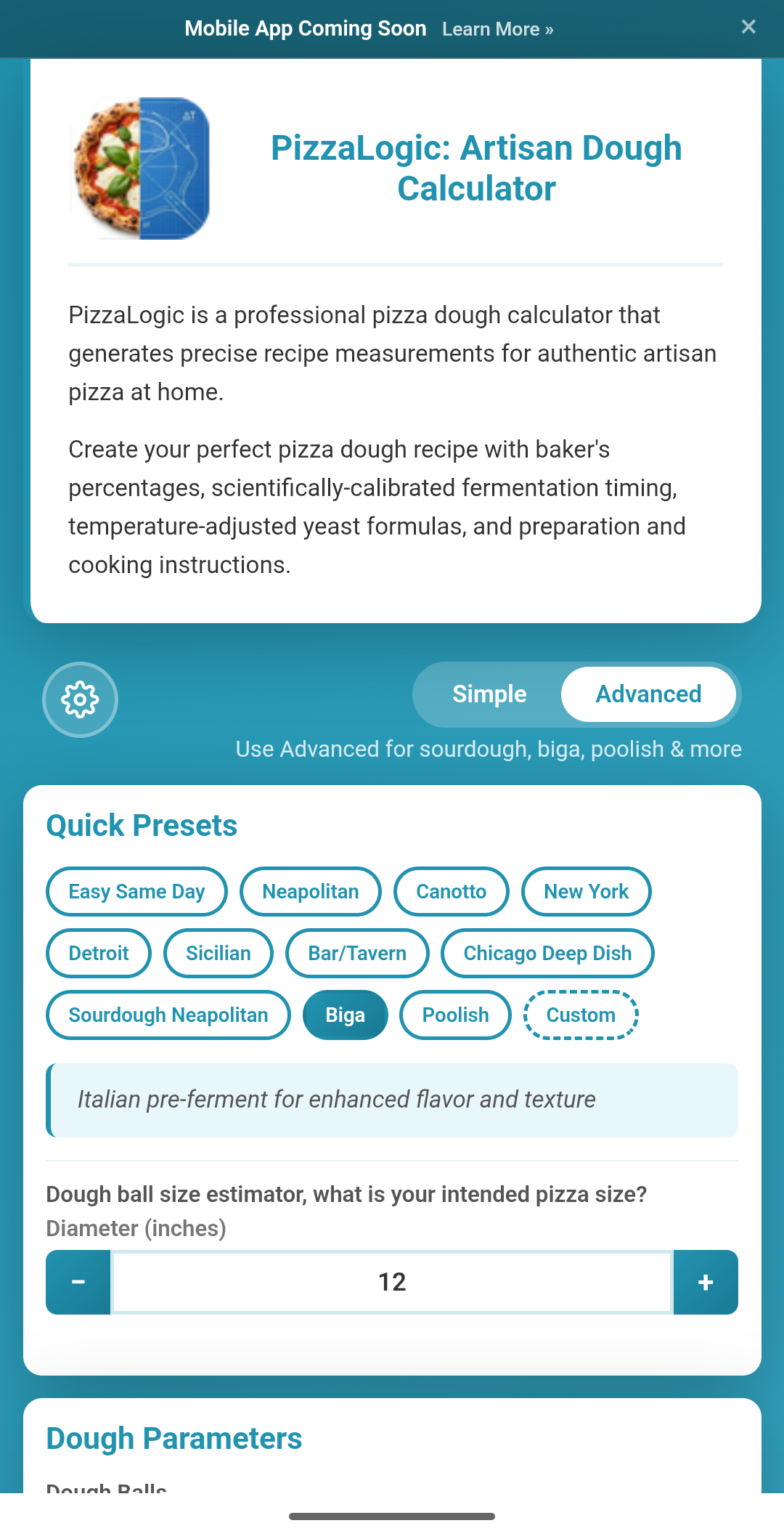 Screenshot 1 of PizzaLogic