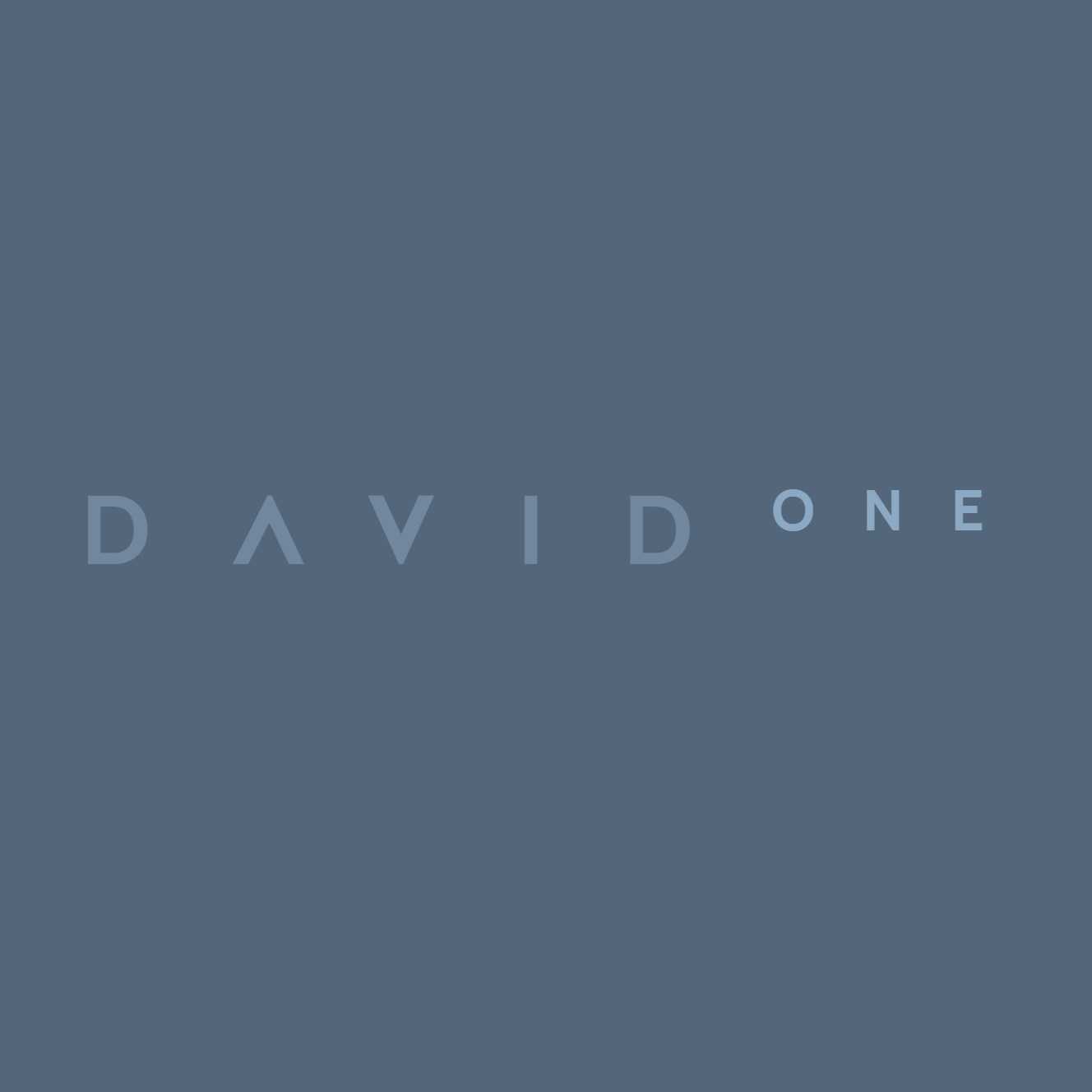 DavidOne