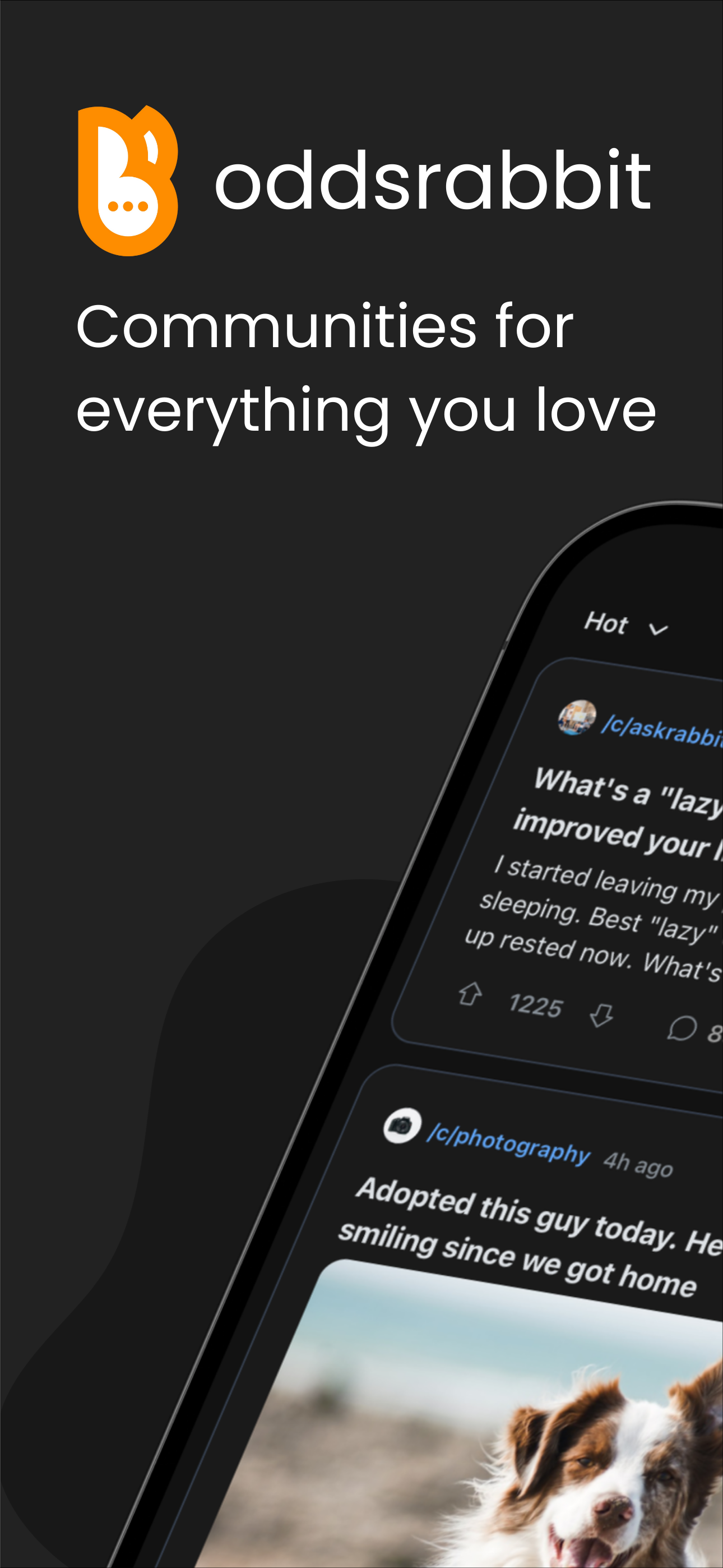 Screenshot 1 of OddsRabbit