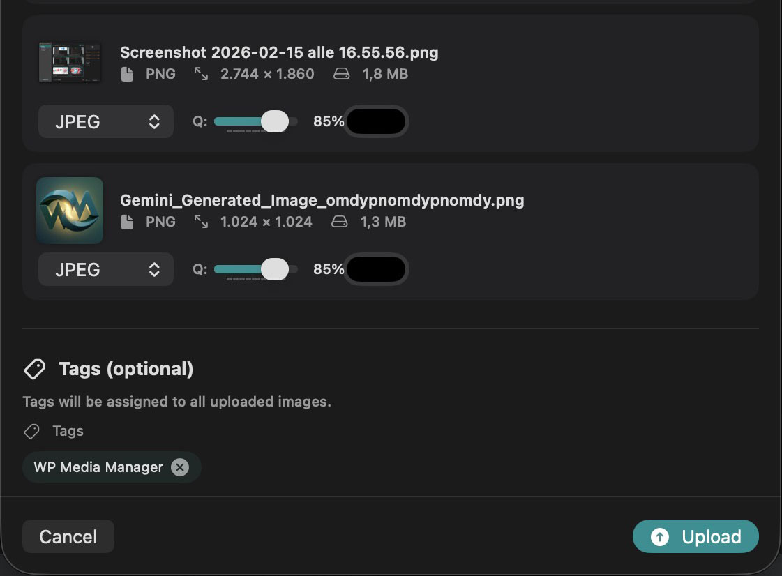 Screenshot 3 of WP Media Manager