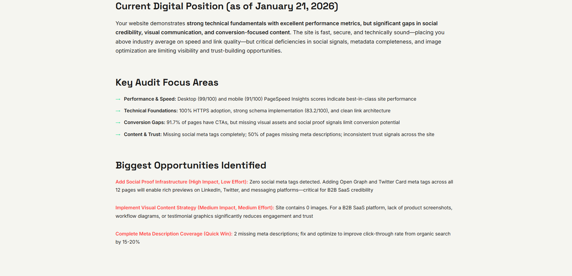 Screenshot 3 of Website Audits + Roadmap