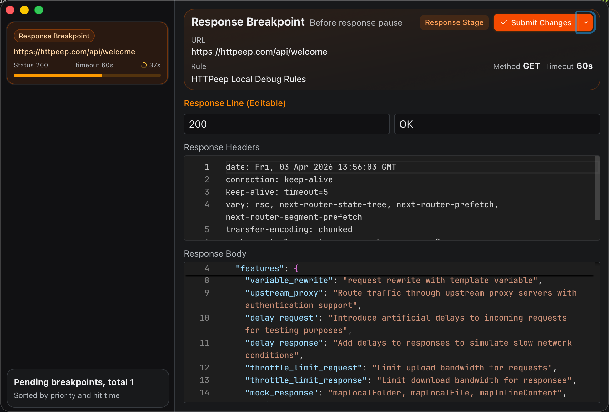 Screenshot 2 of HTTPeep