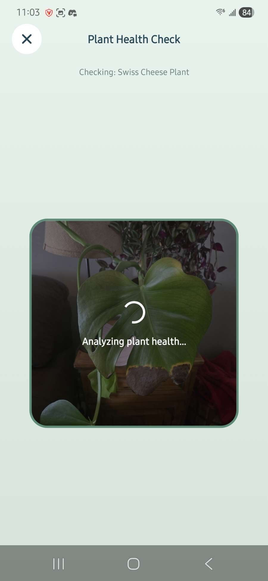 Screenshot 4 of Plant parent