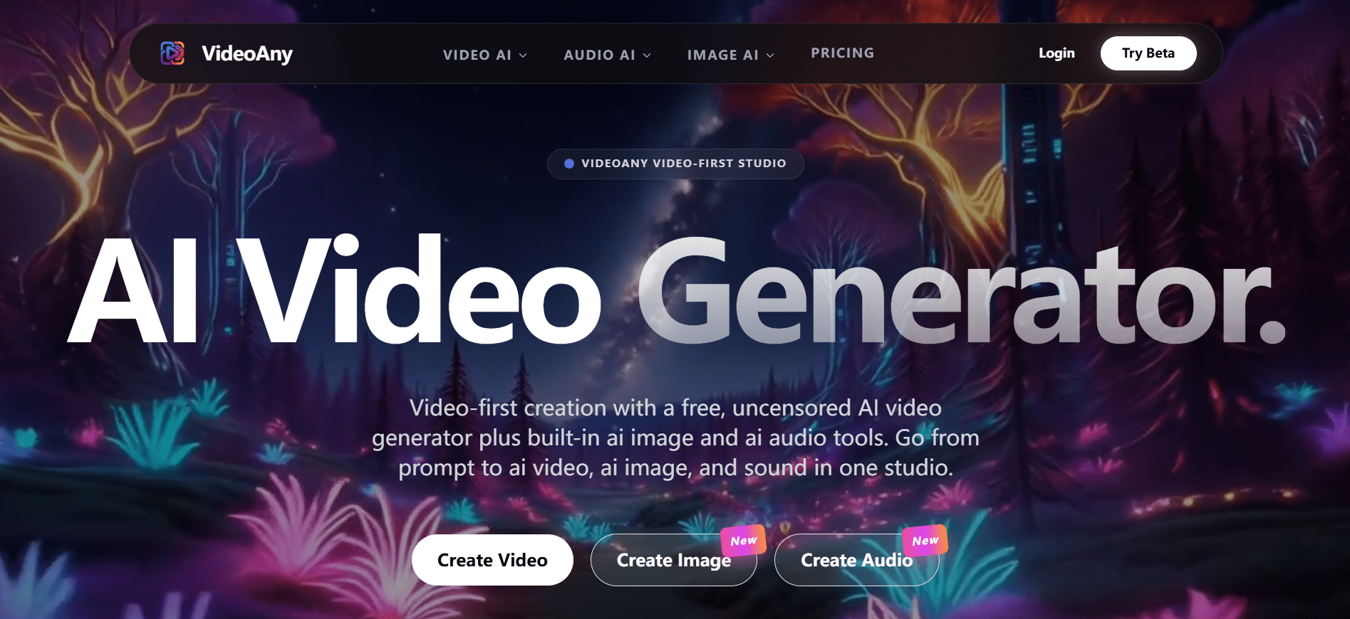 Screenshot 1 of VideoAny