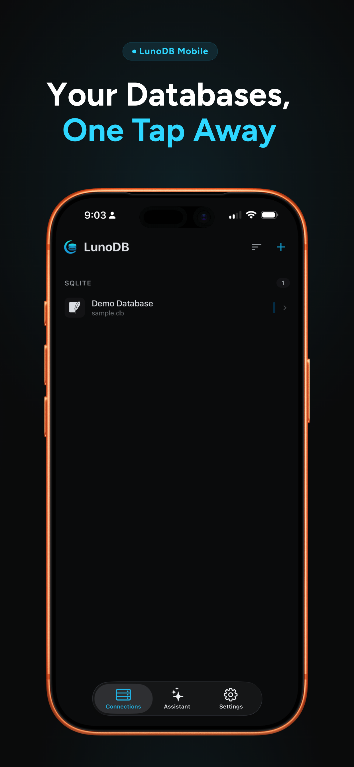 Screenshot 1 of LunoDB Mobile