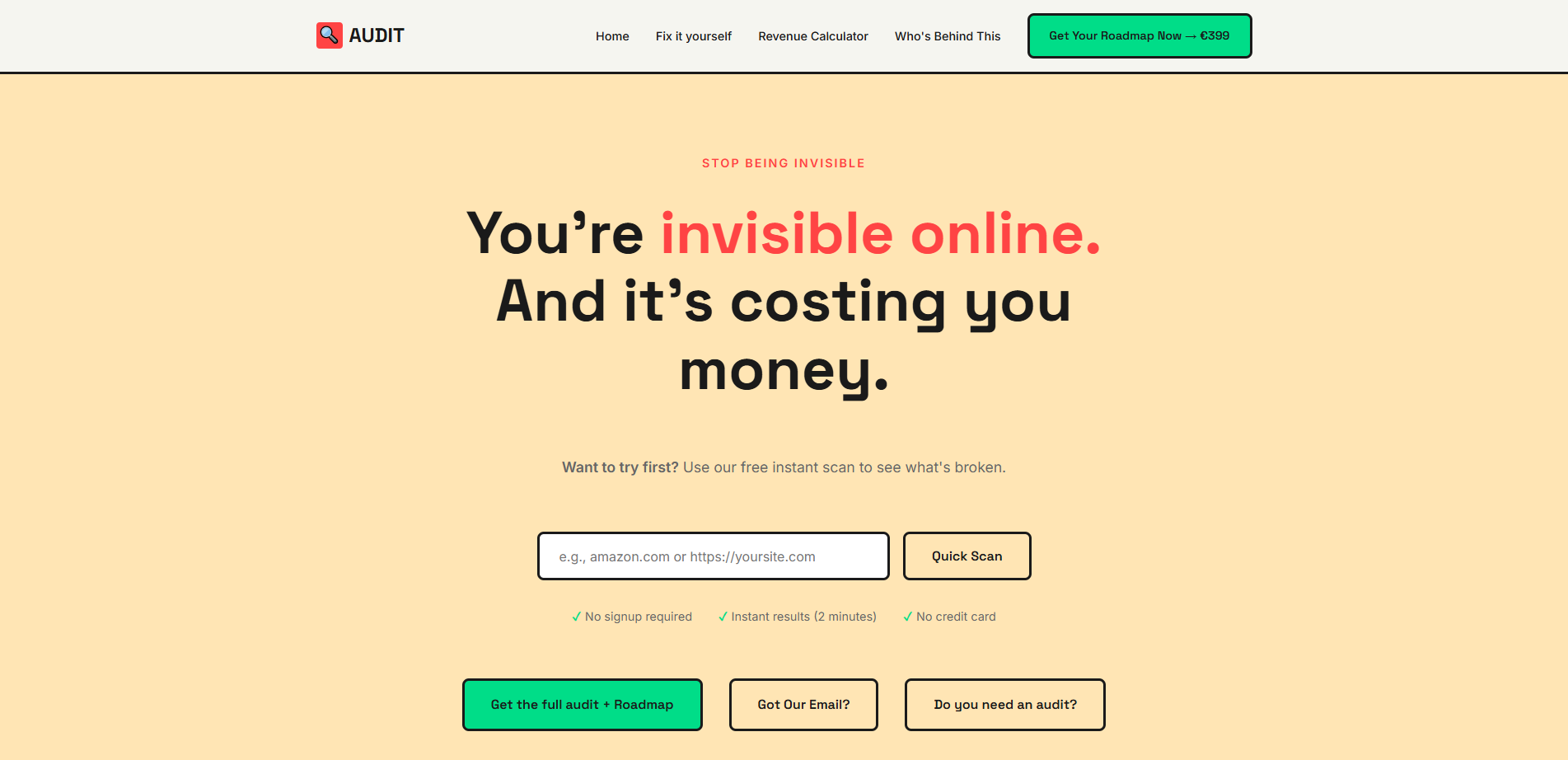 Screenshot 1 of Website Audits + Roadmap