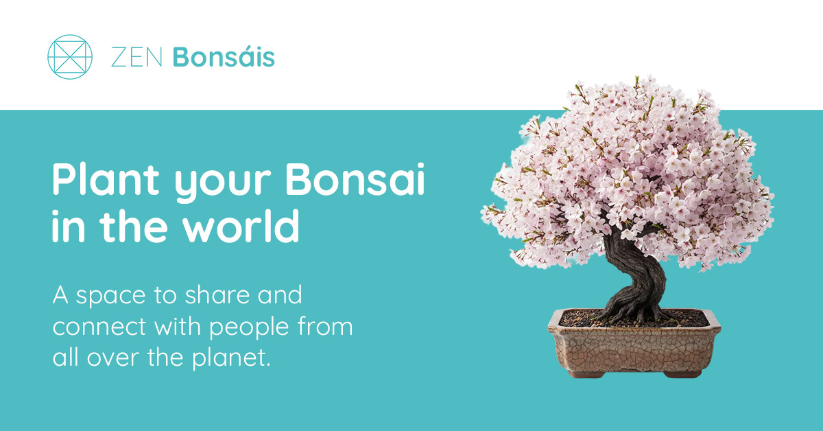 Screenshot 1 of ZEN Bonsais