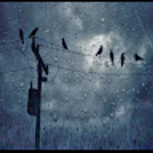 ahmadothman033